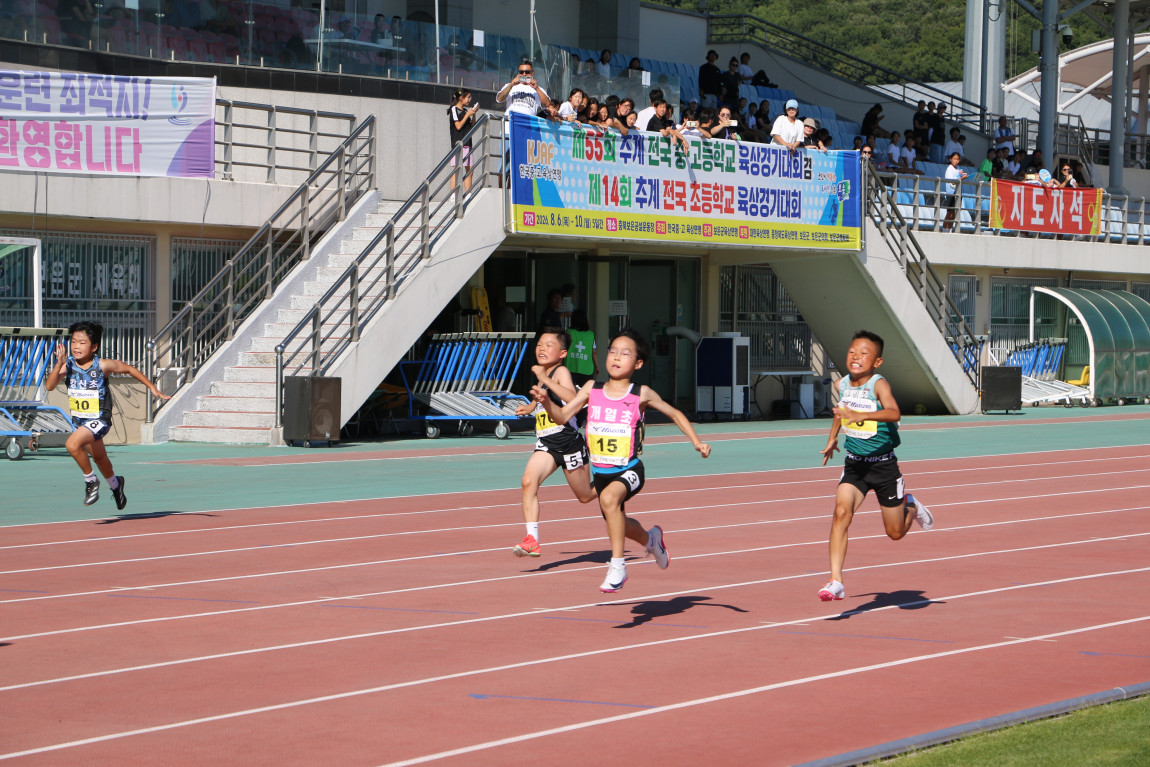 210ecf02a1a19737bf971de83d0ee210_1786342794_9197.JPG